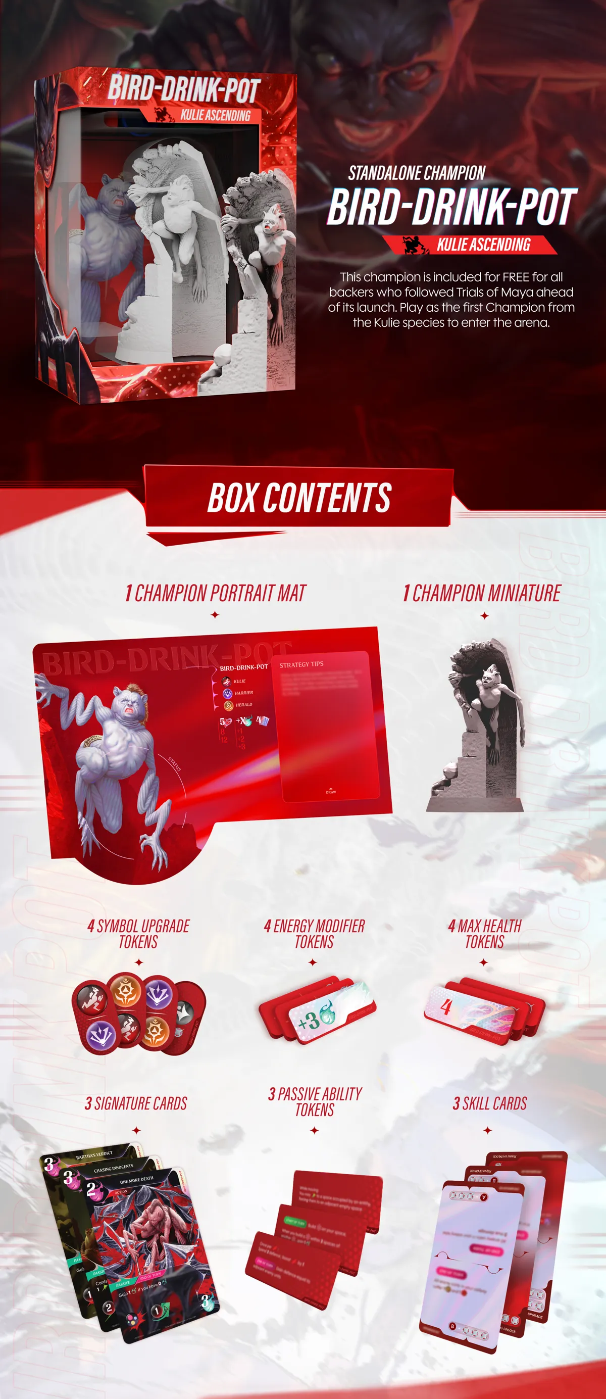 What's in the Box